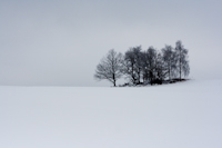 20090214-winterimpression